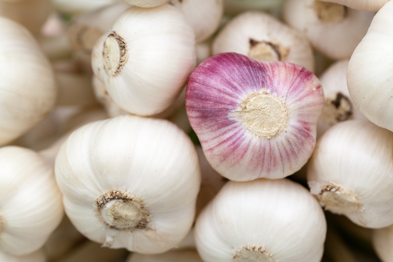 35 Foods That Help Prevent Stretch Marks - StretchMarks.org 35 Foods That Help Prevent Stretch Marks - StretchMarks.org